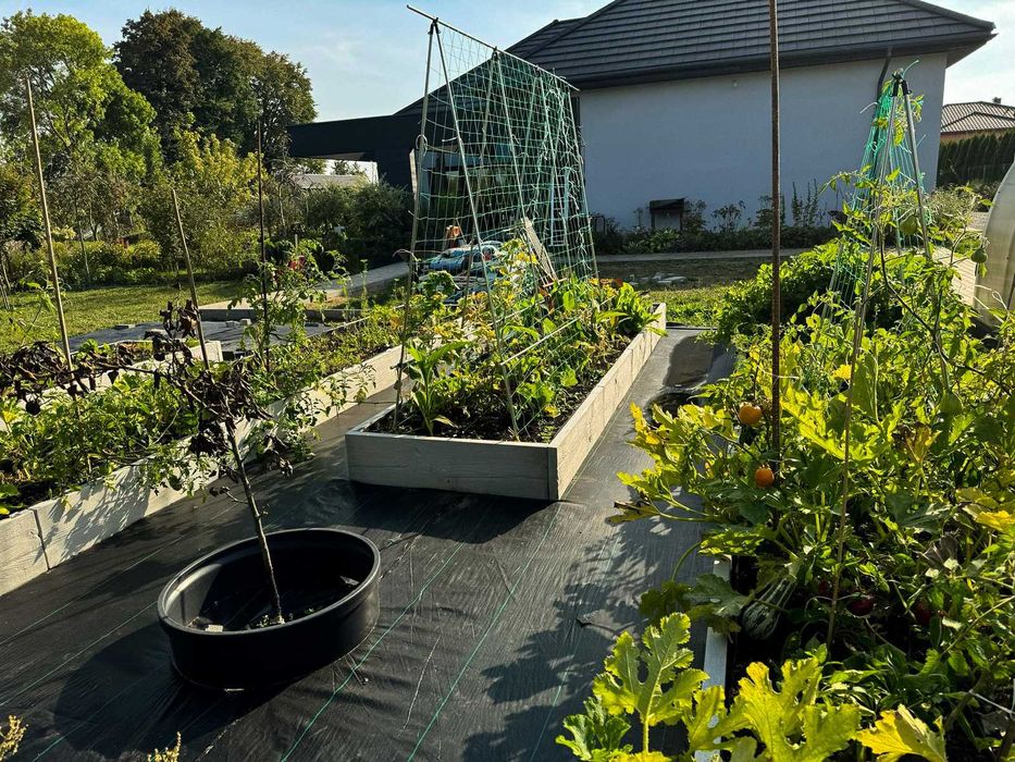 Warzywnik betonowy, Podwyższona grządka 305 x 105 x 25