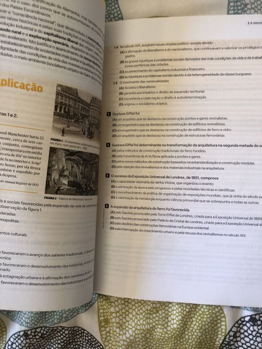 Livro preparação exame história e cultura das artes
