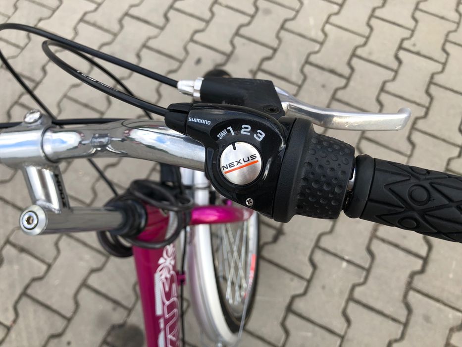 Rower Arkus Panda City Lux