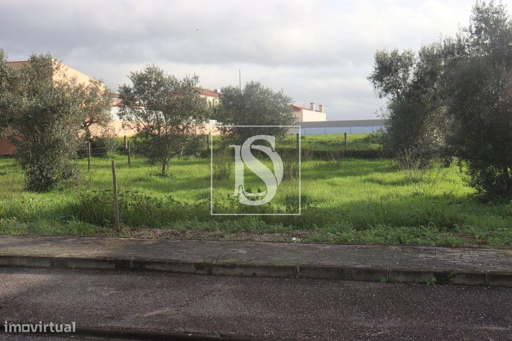 Terreno  Venda em Montalvo,Constância — Montalvo, Santarém