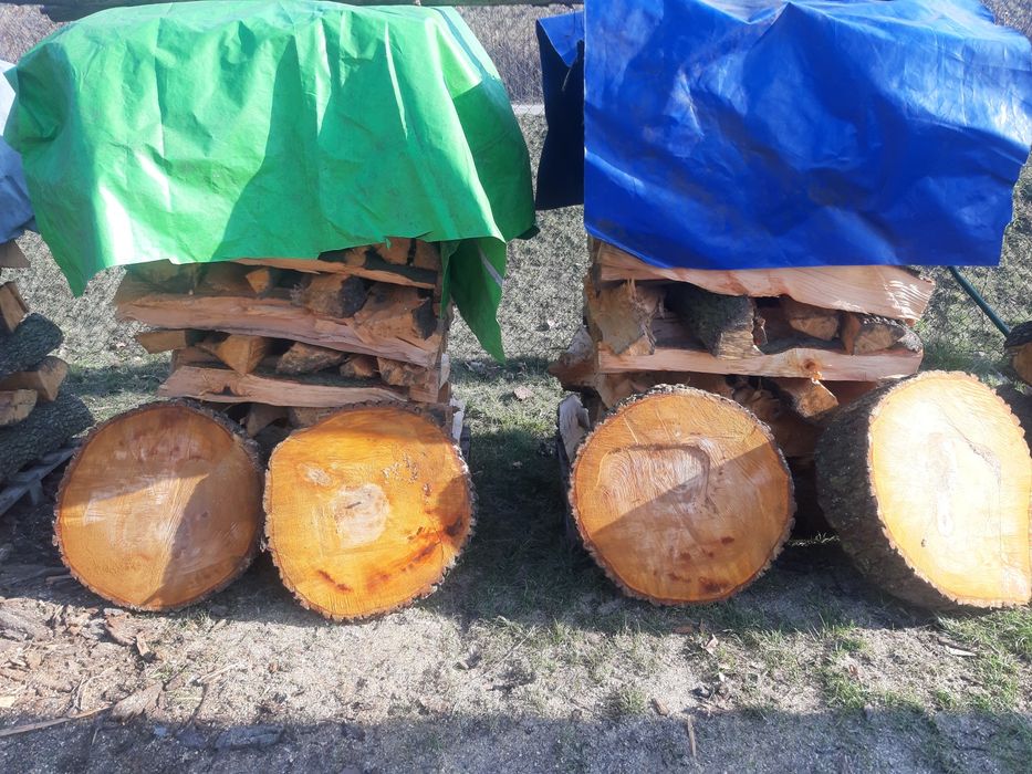 Sprzedam plastry drewna na stolik