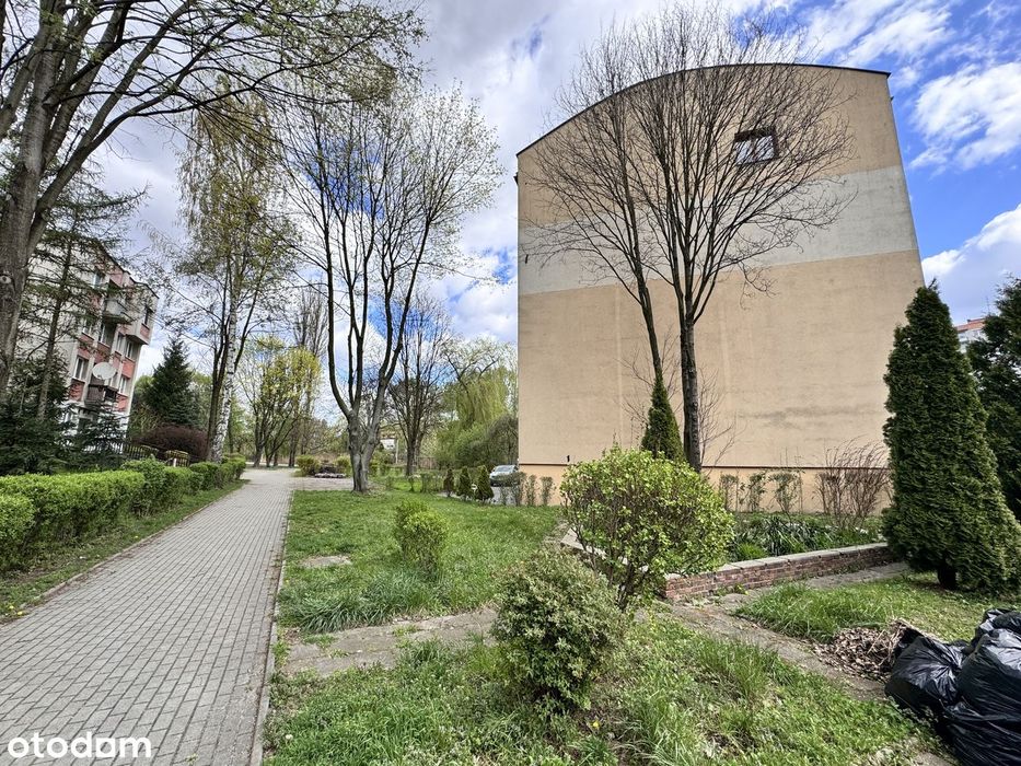 Sosnowiec Centrum Warneńczyka, 2 pokoje, parter