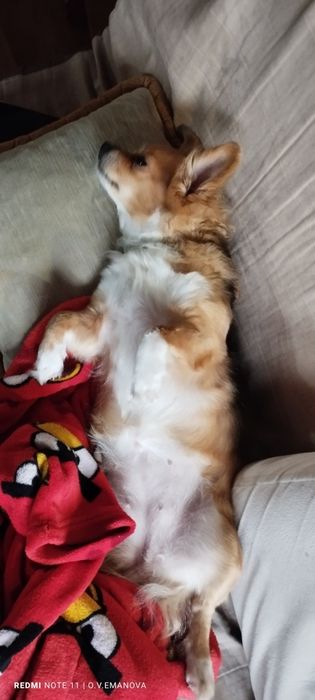 В самі добрі ручки, маленька солоденька булочка