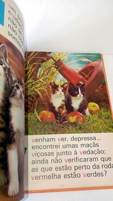 ABC dos Gatinhos