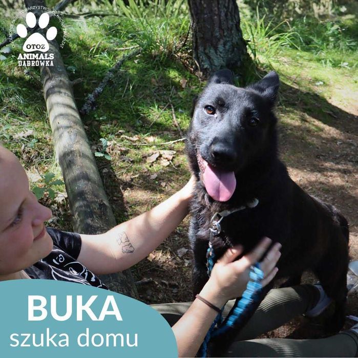 Buka szuka domu !