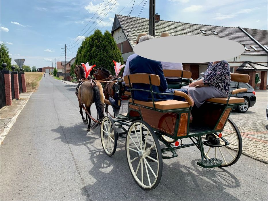 Bryczka Wagonetka – firmy ECC, model Elegant, w idealnym stanie