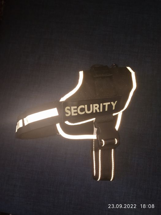 Шлея для собак светоотражающая