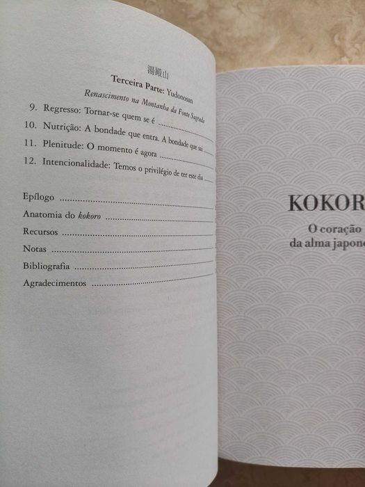 Portes Grátis - Kokoro - O Coração da Alma Japonesa