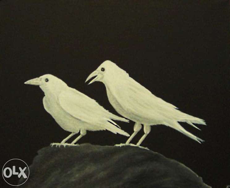 Corvos Brancos (óleo sobre tela)