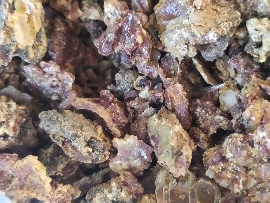 Kit pszczeli 100 gram