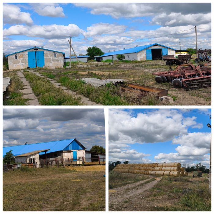 Срочно. Цена снижена.Продам действующие фермы с производством