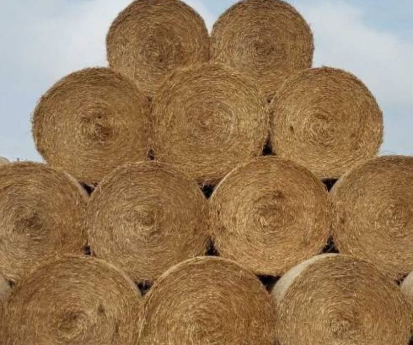 Sprzedam słomę w balotach z tamtego roku 2025