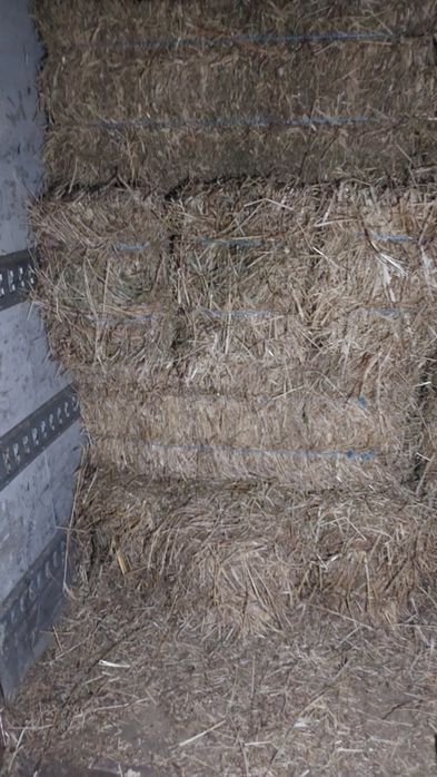 Vendo fardos pequenos feno nasçediço da colheita de 2025