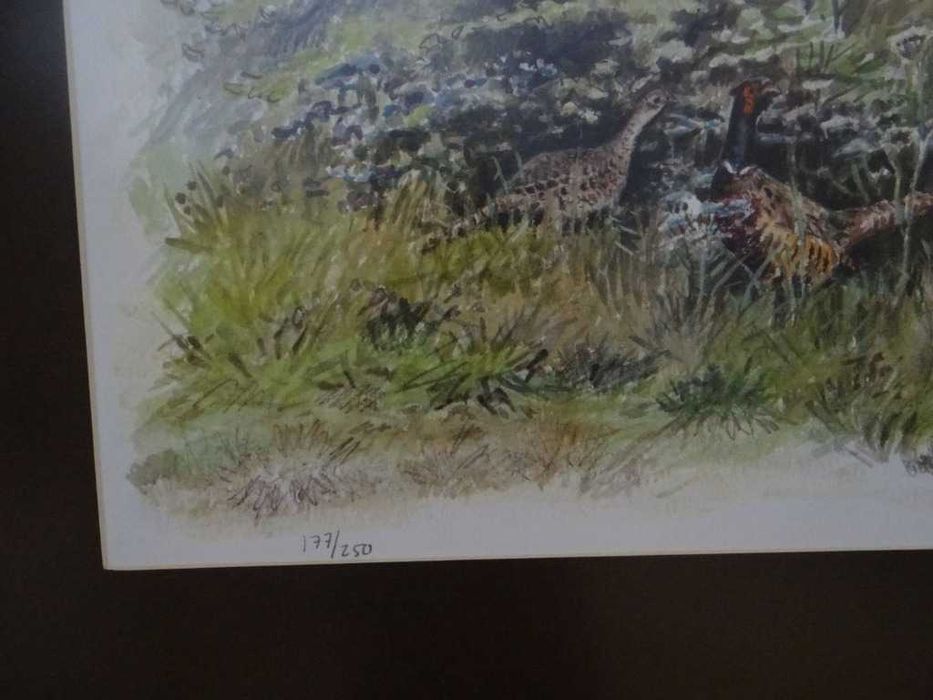 Obraz ,,Bażanty '' litografia barwna 1977 r