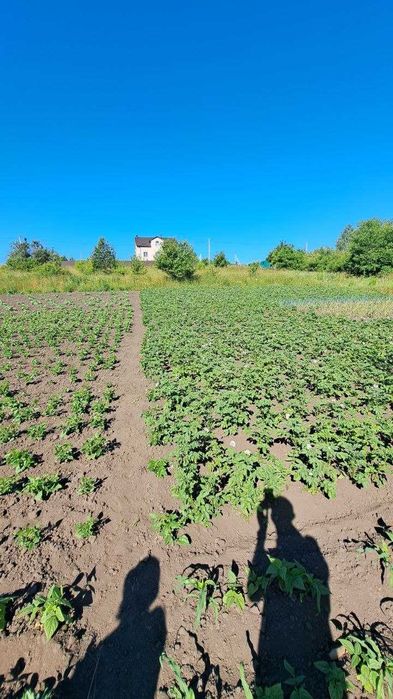 Земельна ділянка в Дубово чудове місце для садівництва та відпочинку!