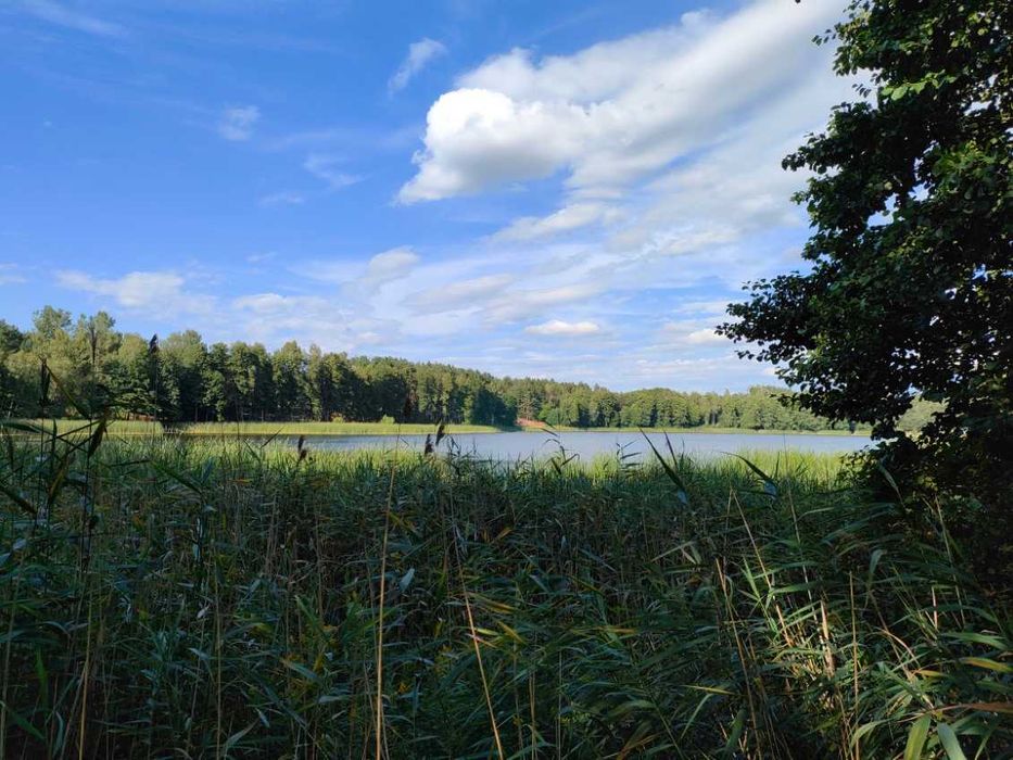 Działka nad jeziorem Osiek n/Wisłą