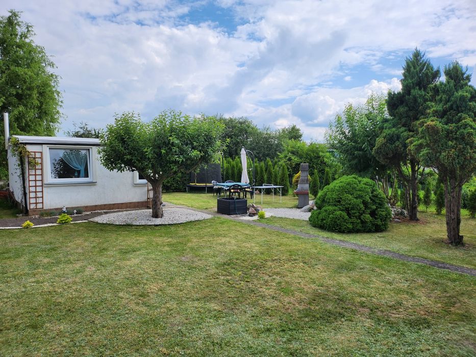 Działka ROD Rogówko koło Torunia