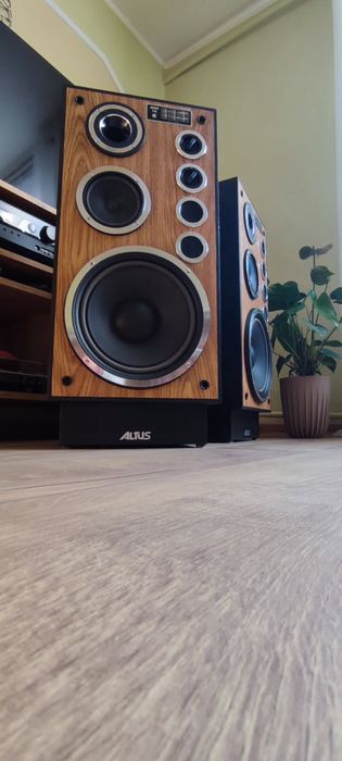 Altus 110 stan igła