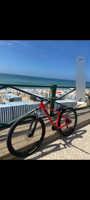 Bicicleta para grau