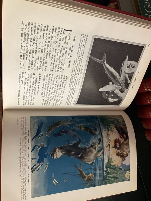 Newnes pictorial knowledge - 11 livros muito visuais sobre ciência