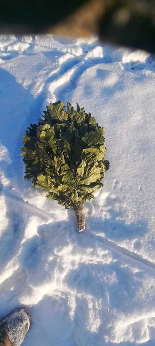 Віники, Дуб Береза звіробій, пижма, м'ята, Трави для бані  1Б.12/63см