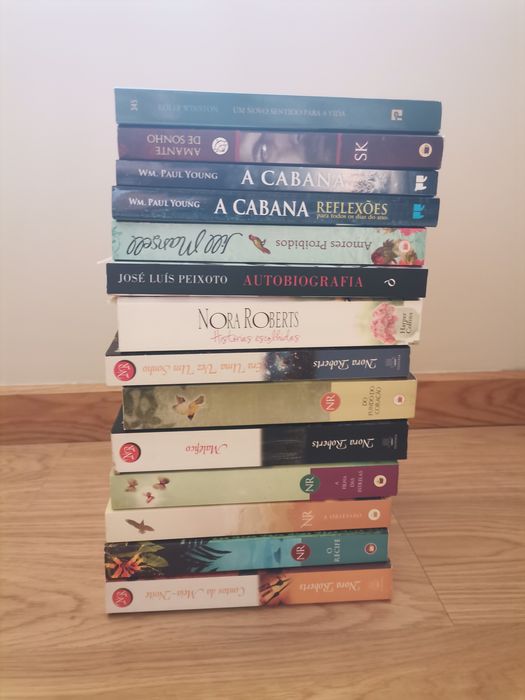 Livros (Nora Roberts, WM. Paul Young e mais)