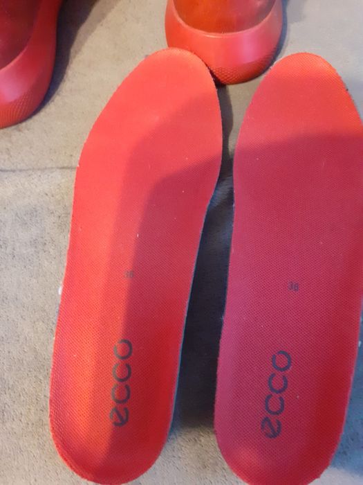 Buty Ecco rozmiar 36