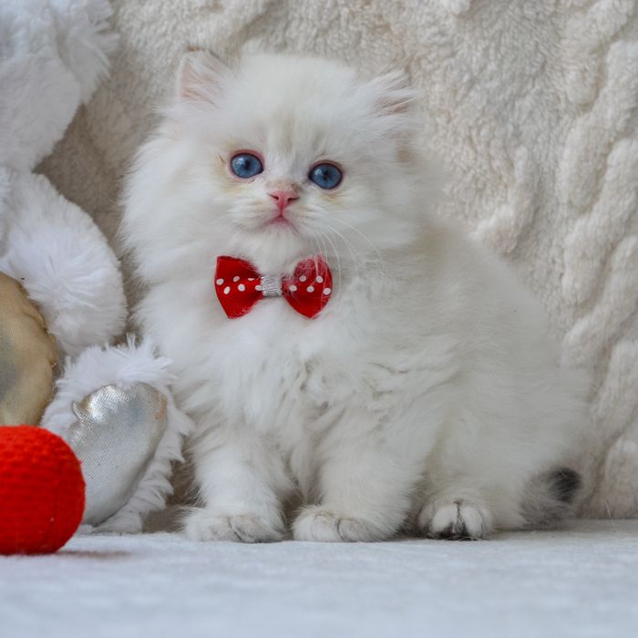 Київ. Блакитноокий блондин