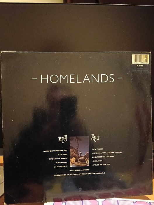 Vinil Ellis Beggs & Howard (Homelands)