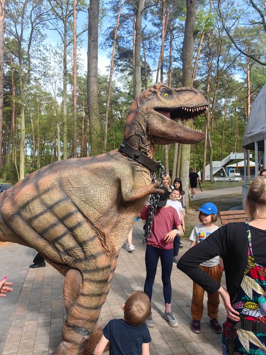 Żywy dinozaur T-Rex, duży realistyczny strój dinozaura event, park rozrywki, rozrywka