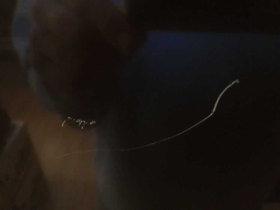 LG 49UH603V iPS z pilotem