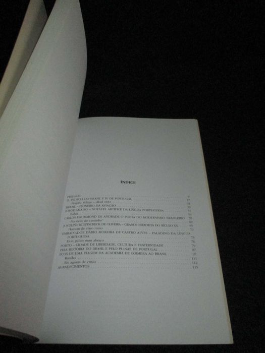 Livro Crónicas Luso-Brasileiras Fernanda Godinho Esteves