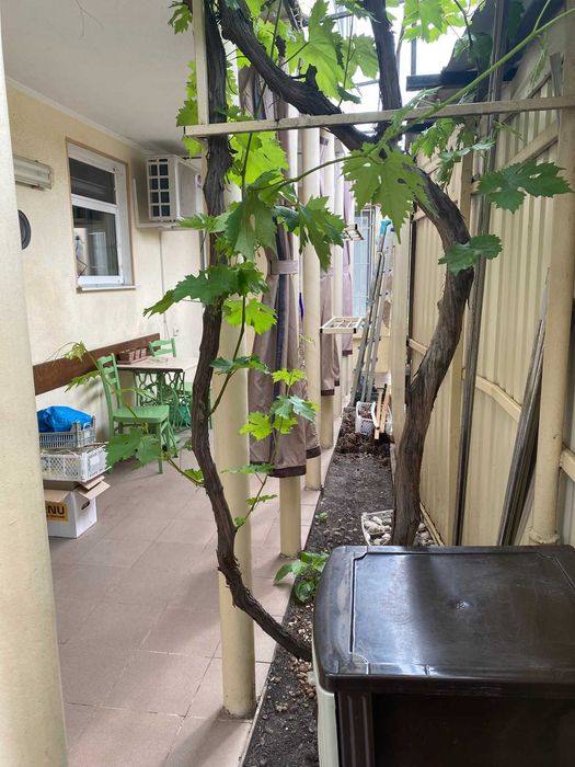 Коттедж на 7 ст. Большого Фонтана.