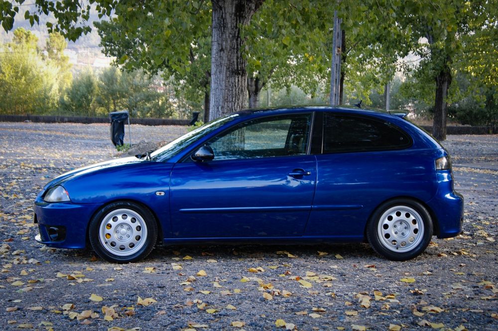Seat Ibiza 6L PD 3xx
