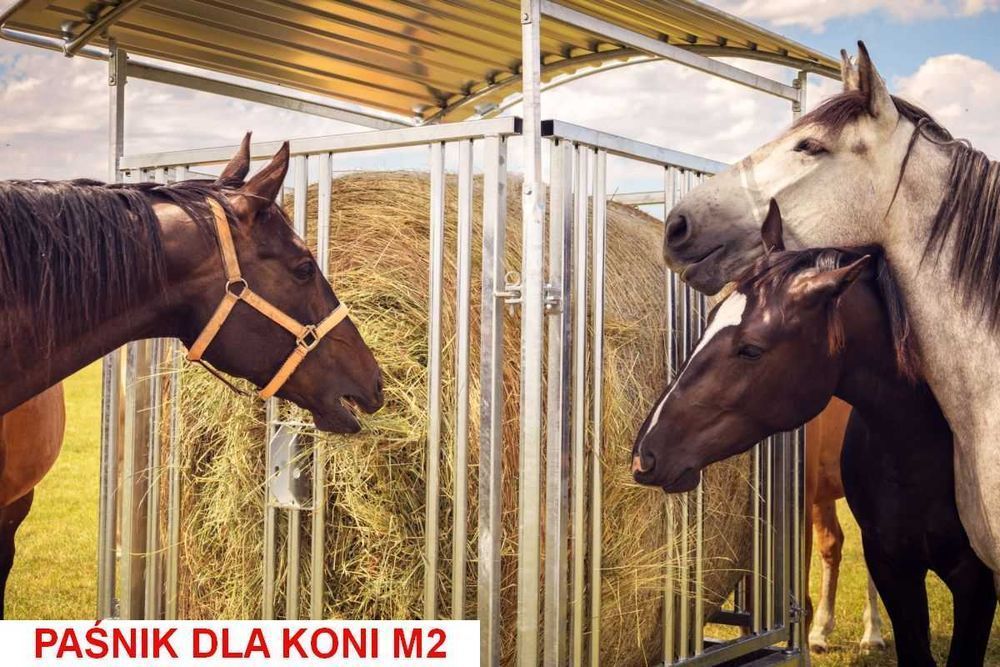 Paśnik dla bydła krów koni ocynkowany z dachem 8 lub 12 stanowisk
