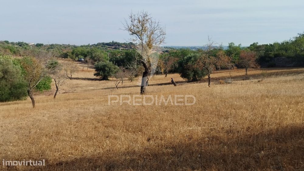 Terreno rustico vista mar Alcaria Cova Estoi