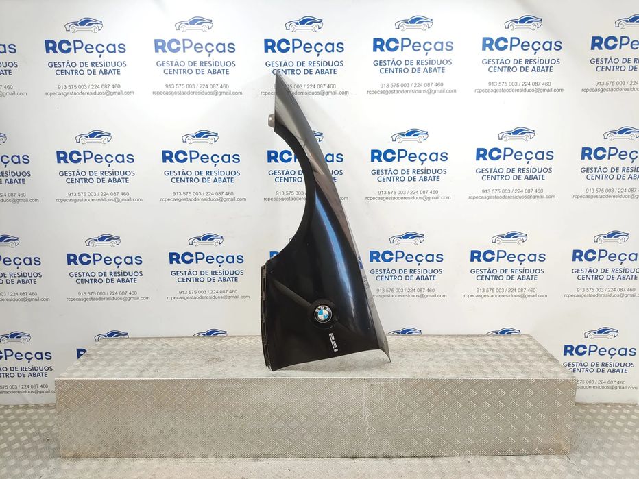 Guardalamas Frente Frontal Original BMW Z4 E89 2009 a 2016