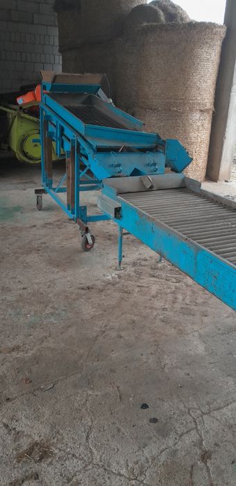 Sortownik do ziemniaków cebuli