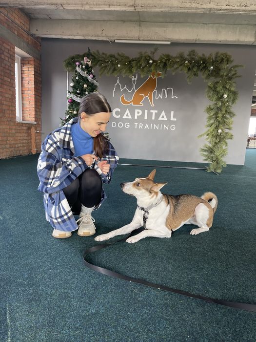 Кінолог Київ Буча Гостомель Бородянка