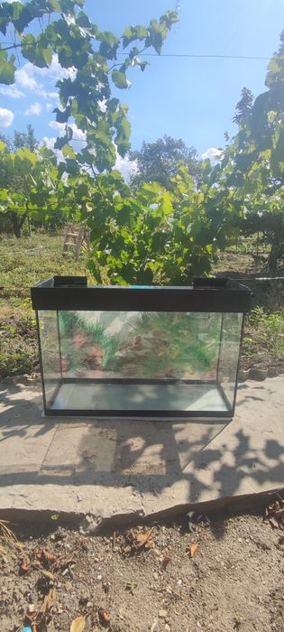 Аквариум 90 литров