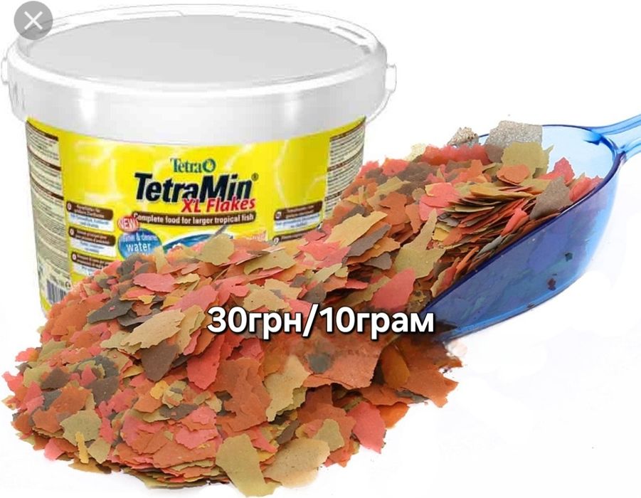 Рыбки в аквариум