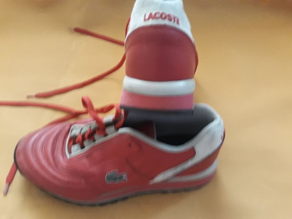 LACOSTE 37 buty sportowe ładne
