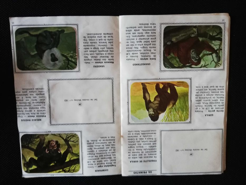 Caderneta Figurinhas de Animais