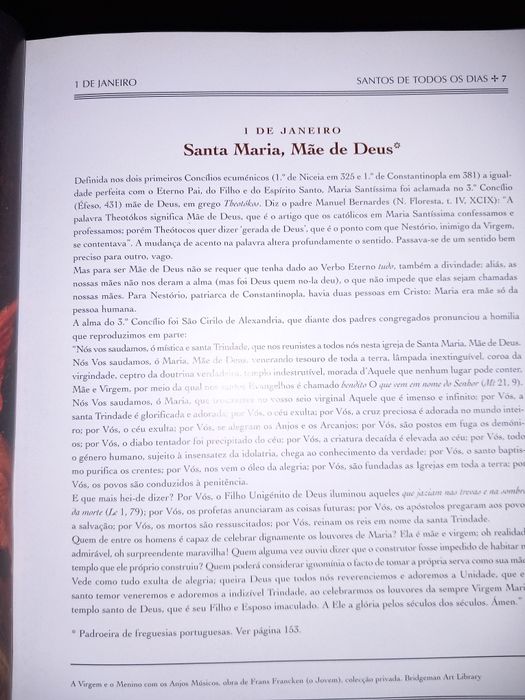 Enciclopédia Santos de todos os dias