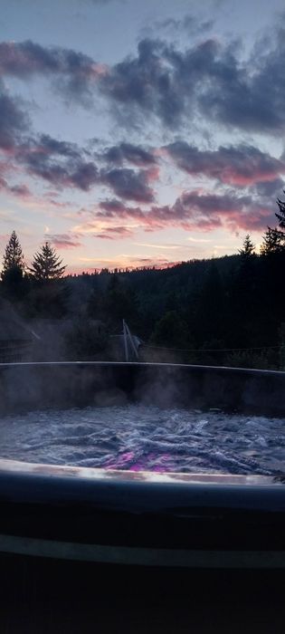 Проживання в будиночку A-frame
