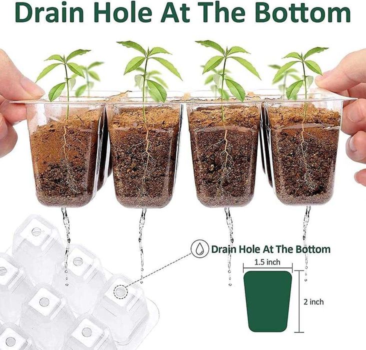 Bandejas de sementes, 10 embalagens com janela ajustável para estufas