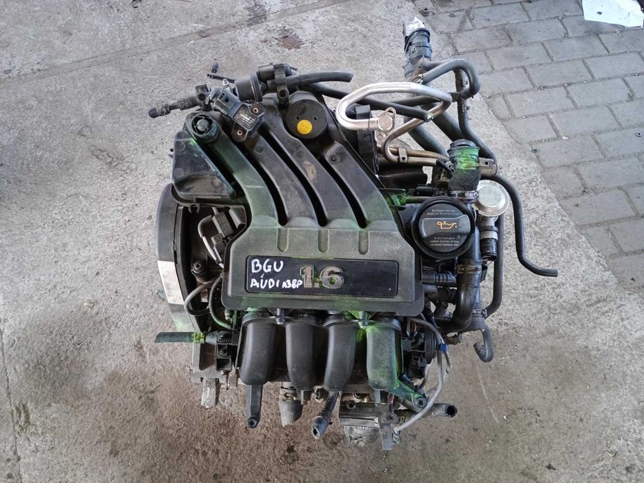 Silnik BGU 1.6 8v Audi A3 8P VW Golf V 5 1.6MPI
