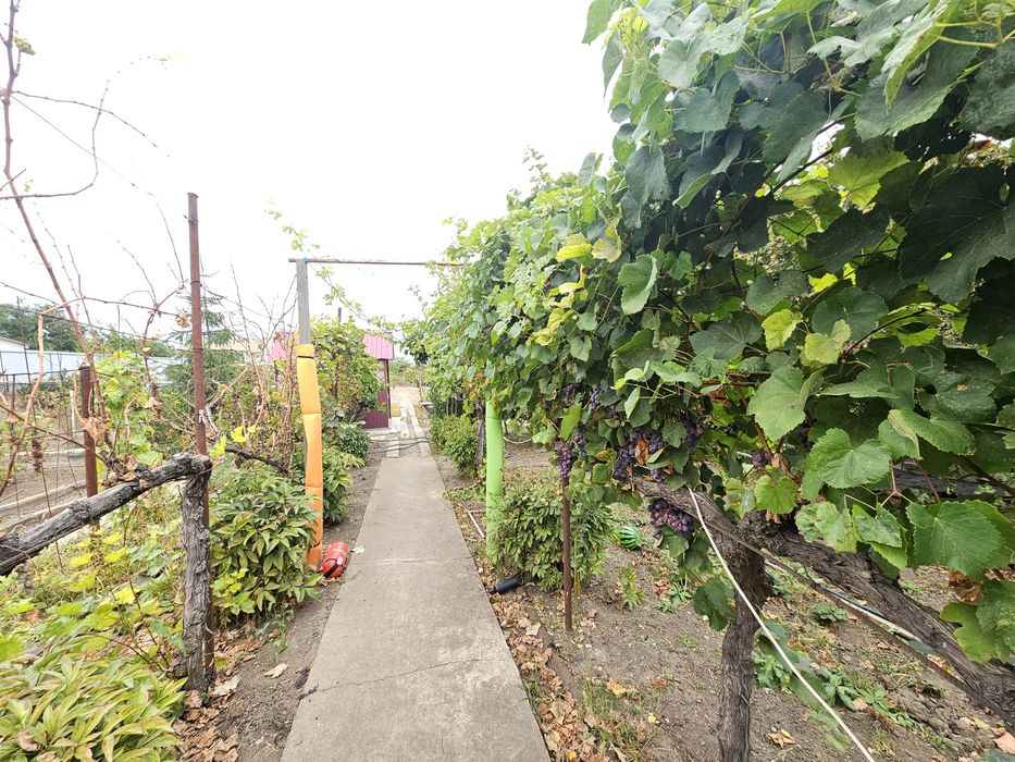 Продам дом в пригороде Одессы