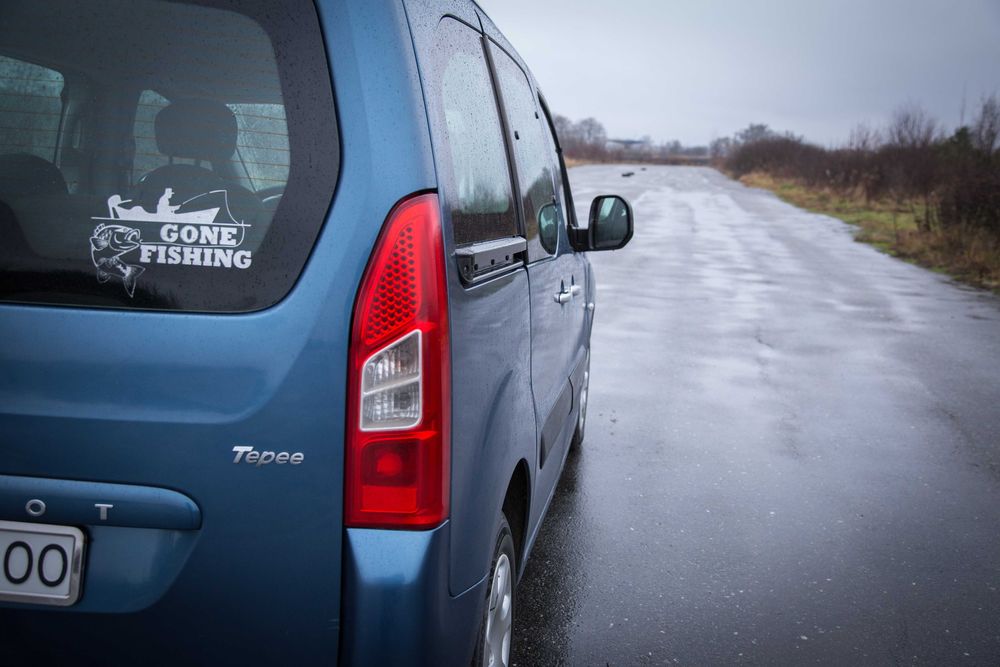 Peugeot Partner Tepee 2011