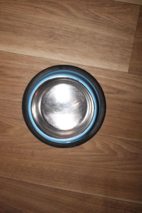 Acessórios para animais